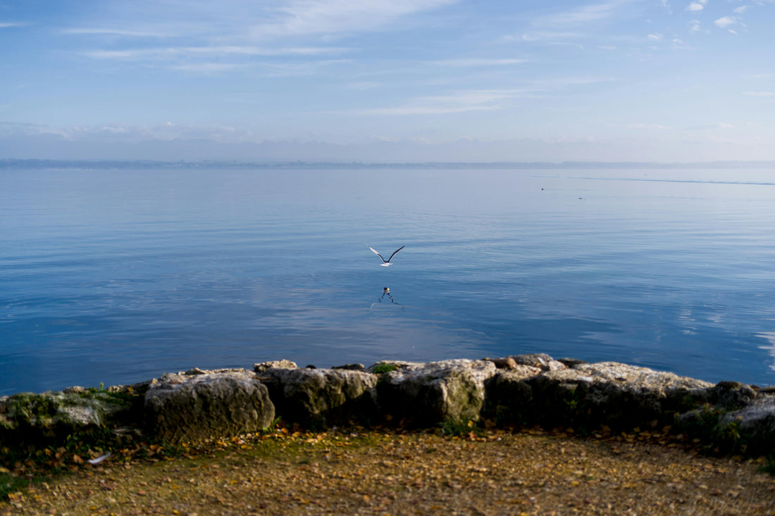 Fermeture estivale - 15.07-15.08.25